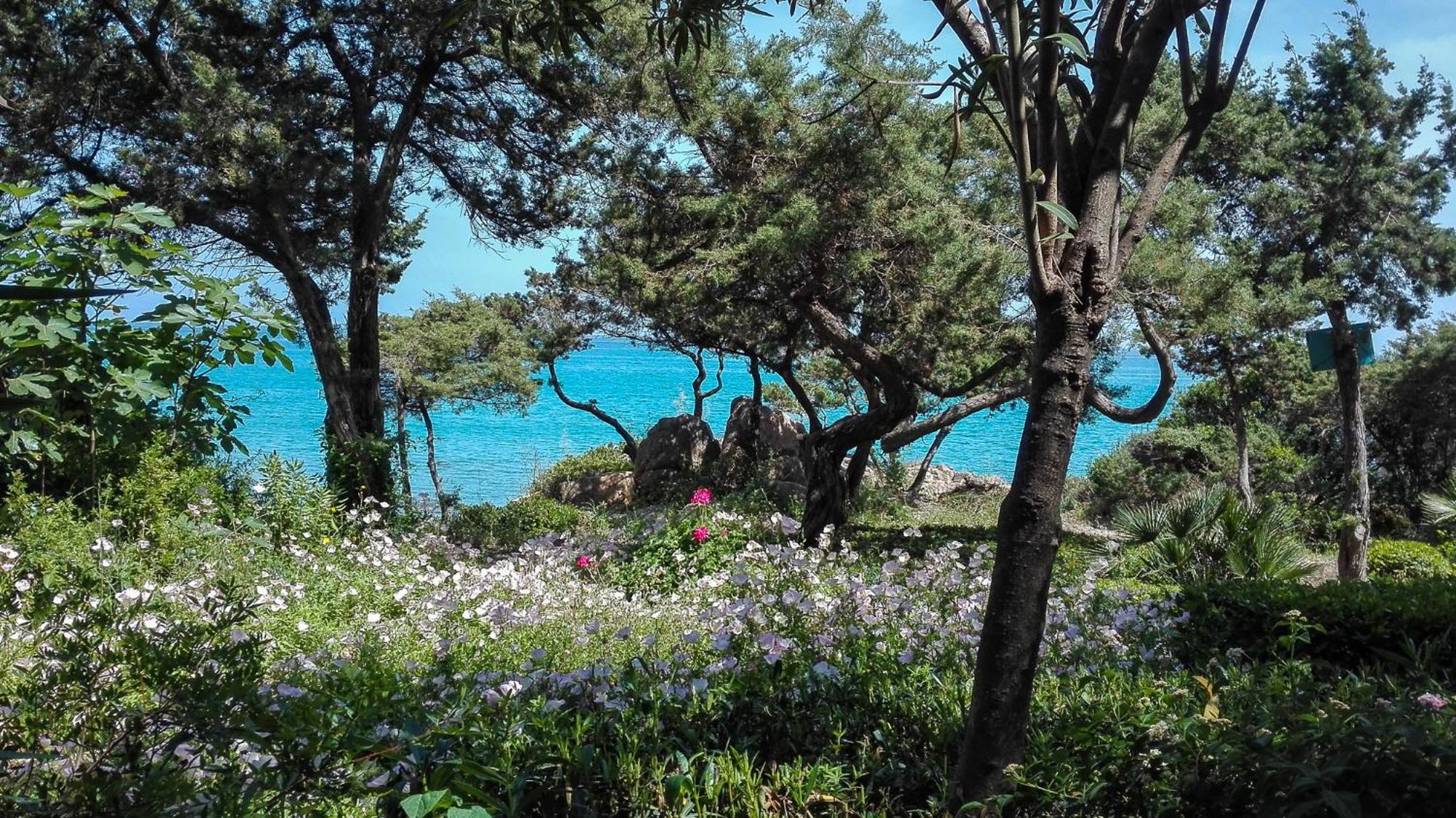 B&B Giglio Di Mare Cala Liberotto Ngoại thất bức ảnh